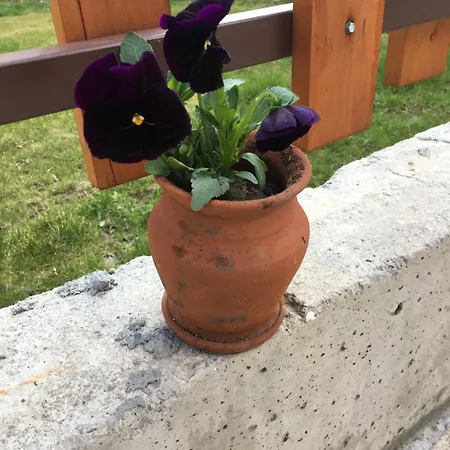 Family House - Free Parking Sofia