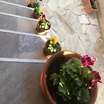 Affittacamere Family House - Free Parking