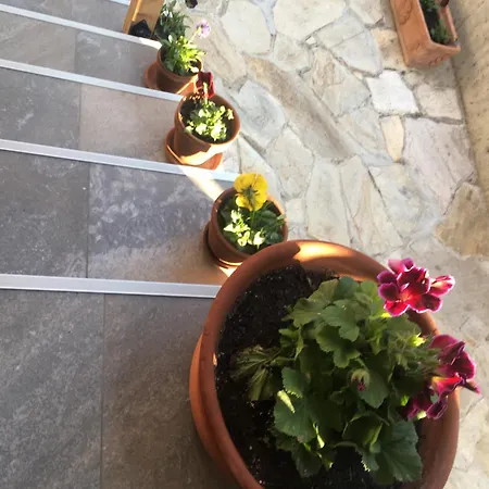 Pensionat Family House - Free Parking