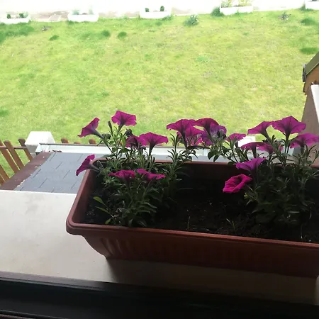 招待所 Family House - Free Parking 4*