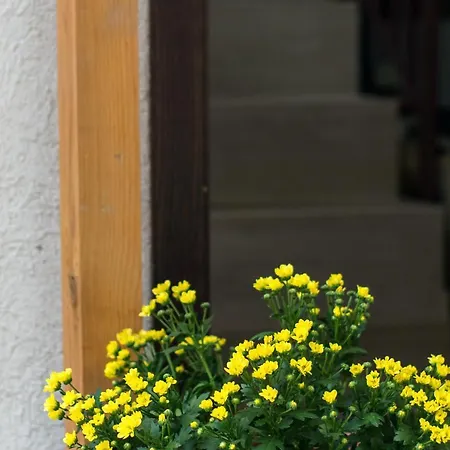 Family House - Free Parking 3* Sofia