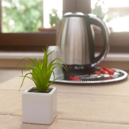 Family House - Free Parking 4* 索菲亞