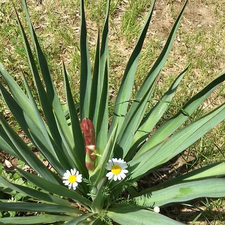 Family House - Free Parking 招待所