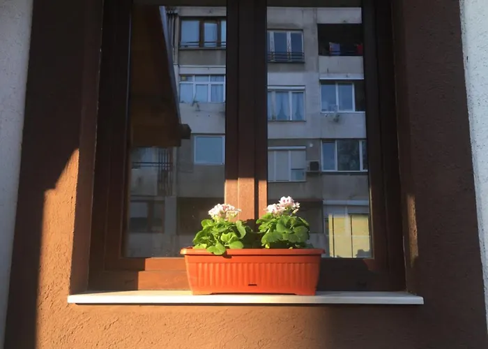 Family House - Free Parking