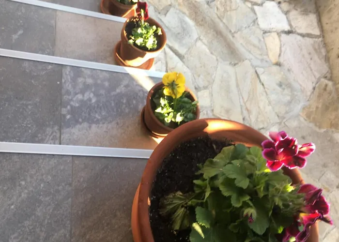 בית הארחה Family House - Free Parking