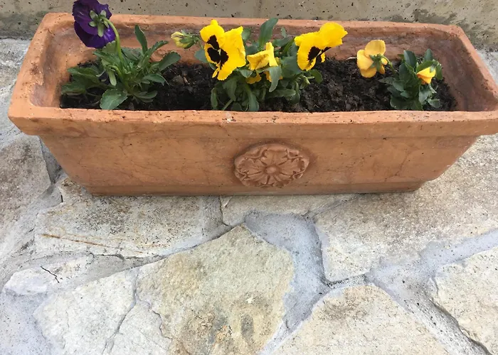 Family House - Free Parking