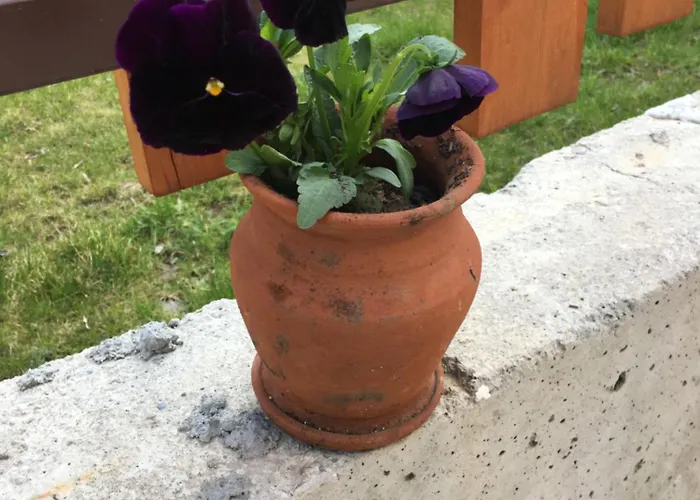 Family House - Free Parking סופיה