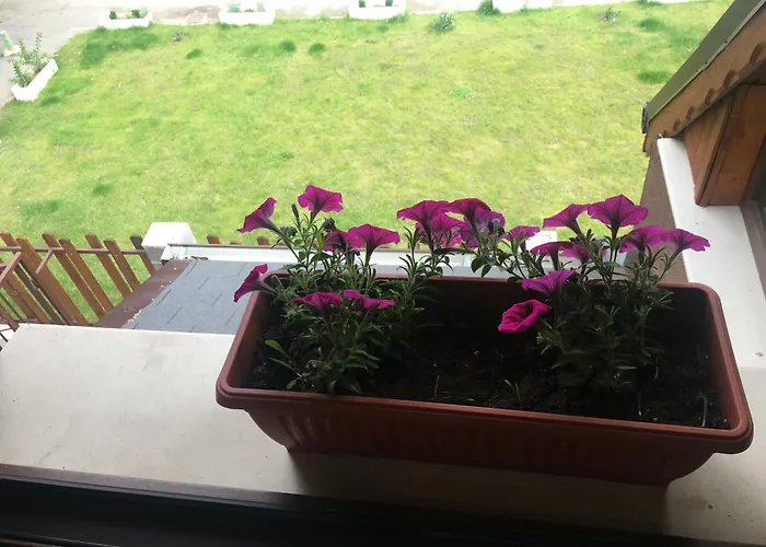 בית הארחה Family House - Free Parking 4*