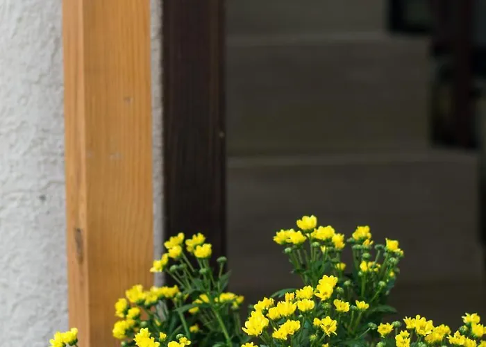 Family House - Free Parking 4* Sofia