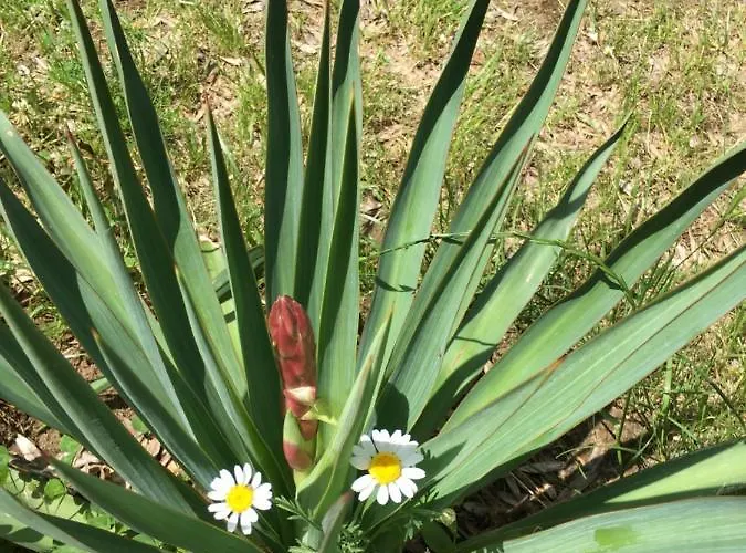 Family House - Free Parking Gasthuis