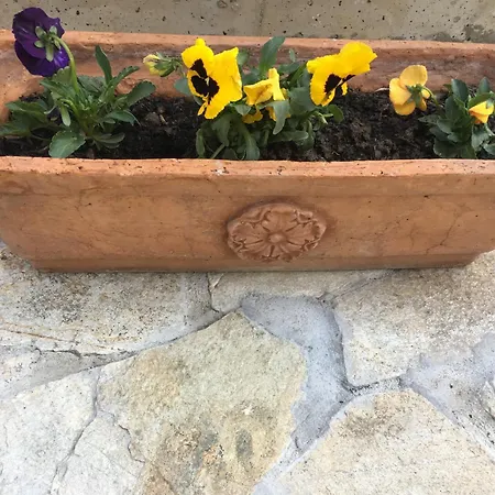 Family House - Free Parking