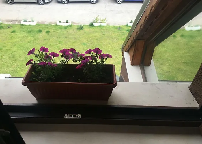 Guest house Family House - Free Parking